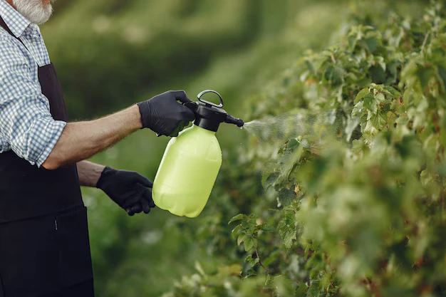 bicarbonato de sódio nas plantas