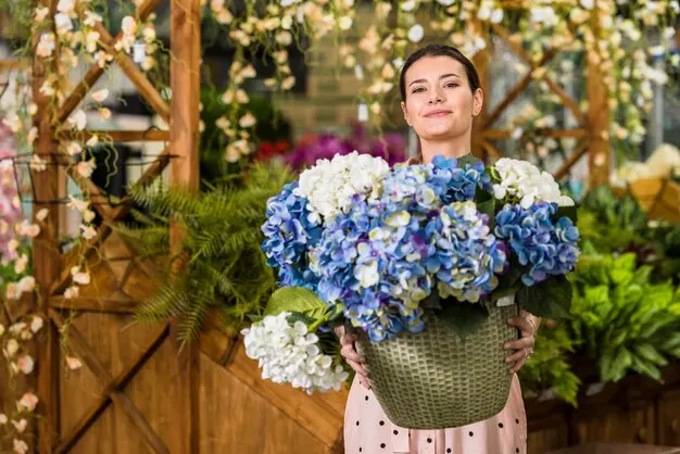 Hortênsias tudo o que você precisa saber sobre o cultivo