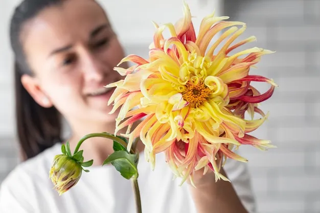 Dália como plantar e manter sua flor resistente